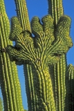 91-32-8-R-91