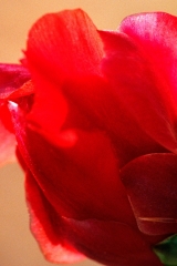 86F-58-3-R-01