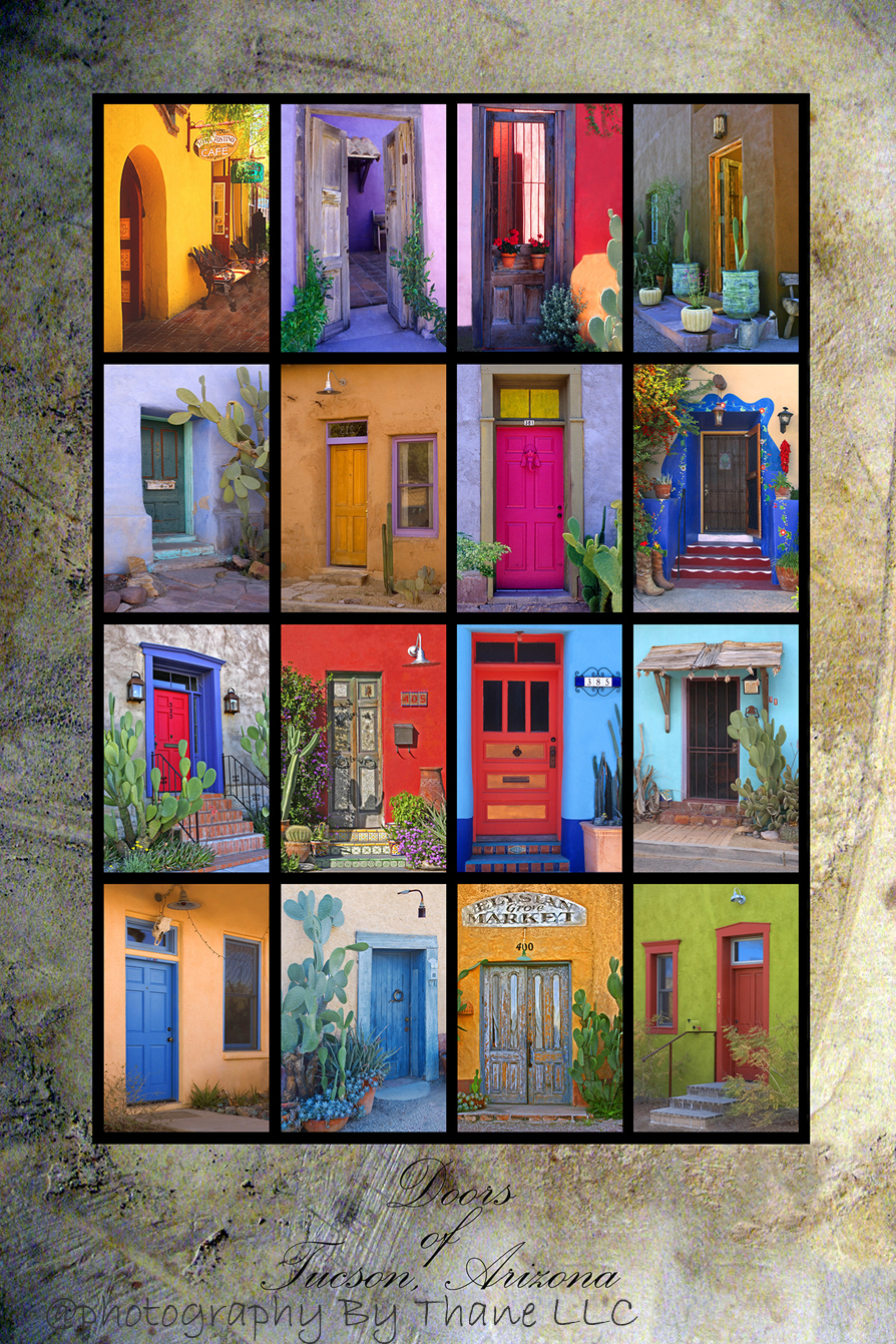 Doors of Tucson Poster on canvas