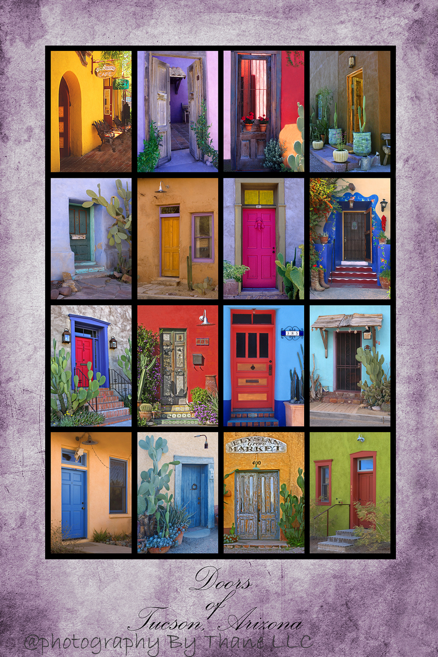 Doors of Tucson Poster on canvas
