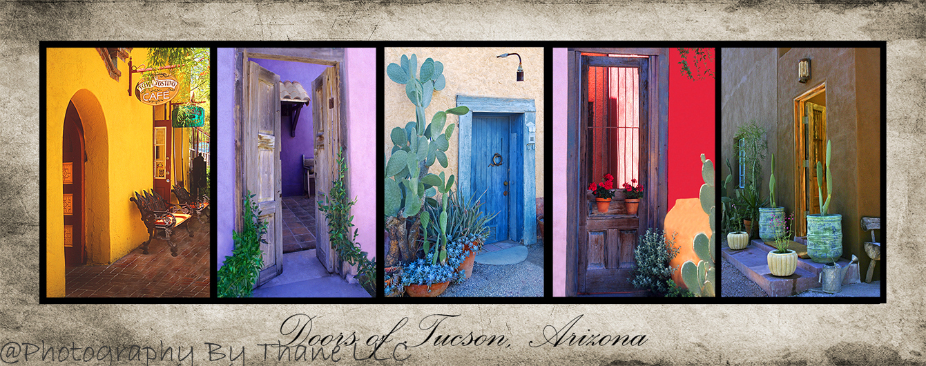 Horizontal Doors of Tucson Poster on canvas