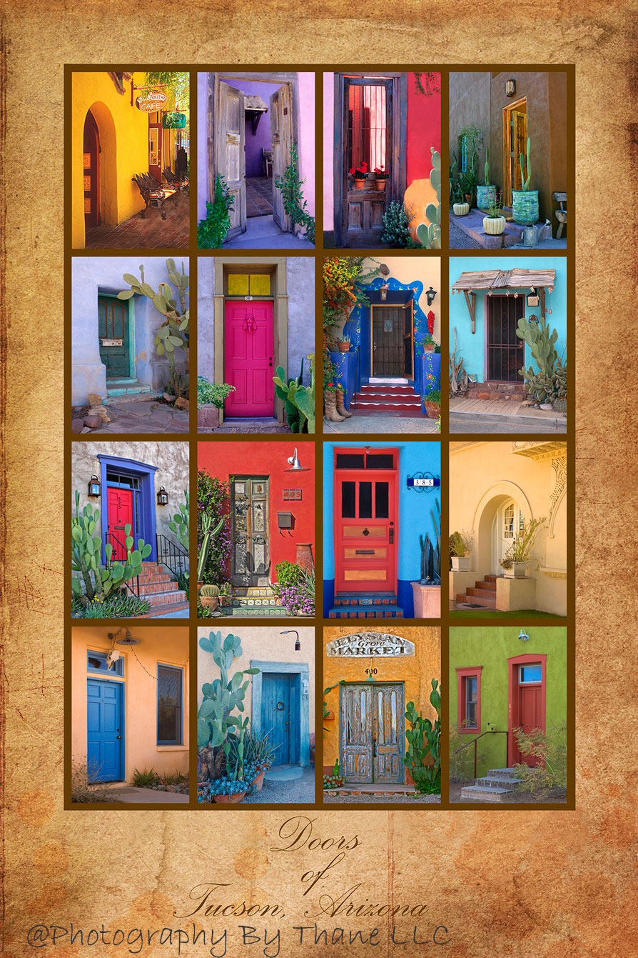 Doors of Tucson Poster on Canvas