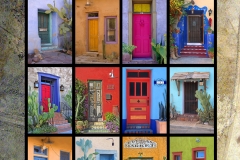 Doors of Tucson Poster on canvas