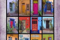 Doors of Tucson Poster on canvas