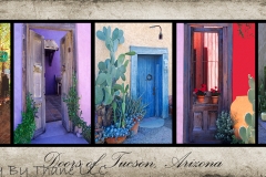 Horizontal Doors of Tucson Poster on canvas