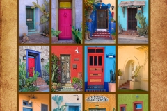 Doors of Tucson Poster on Canvas