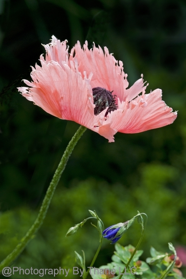 08-06-26-E-0242