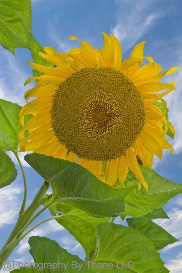 08-08-28-E-0140-c