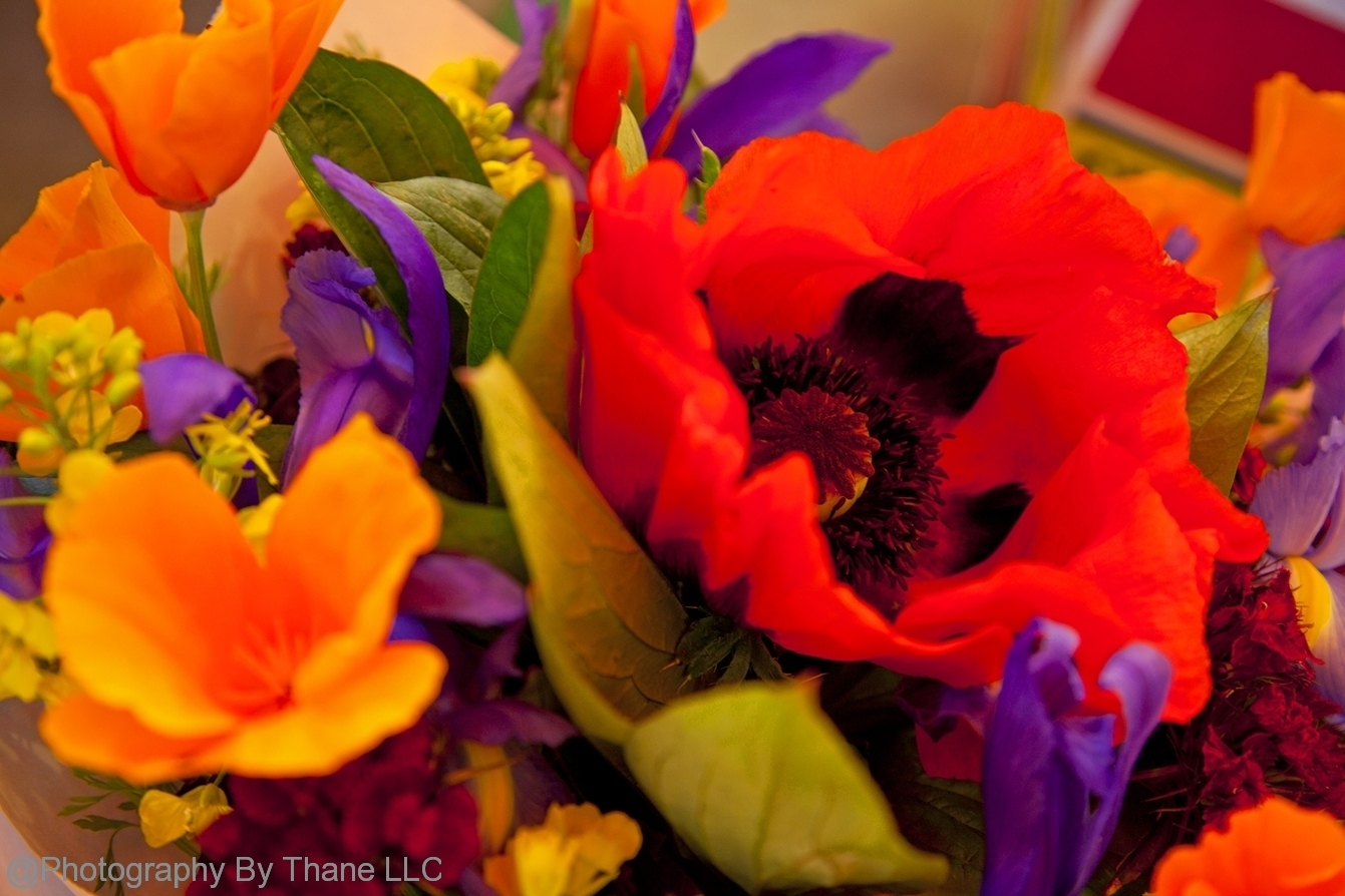 10-06-09-E-2843_L