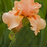 08-05-13-E-0036