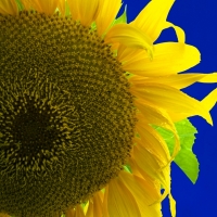 08-08-28-E-0135