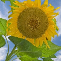 08-08-28-E-0140-c