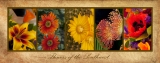 Flowers of the SouthwestCanvas poster