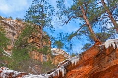 08-01-12-R-0055