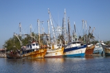 10-03-12-E-0778